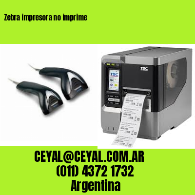Zebra impresora no imprime