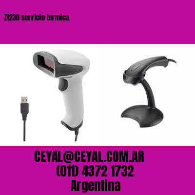 Zt230 servicio termica