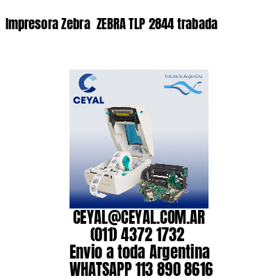 Impresora Zebra  ZEBRA TLP 2844 trabada