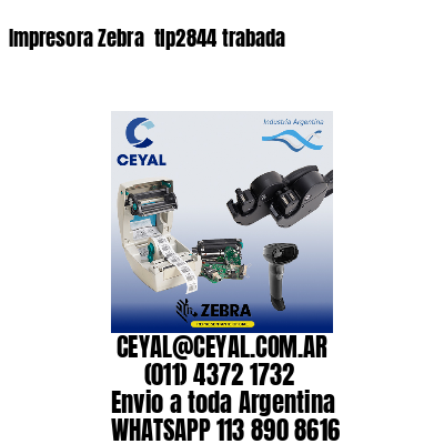 Impresora Zebra  tlp2844 trabada