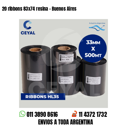20 ribbons 83×74 resina – Buenos Aires