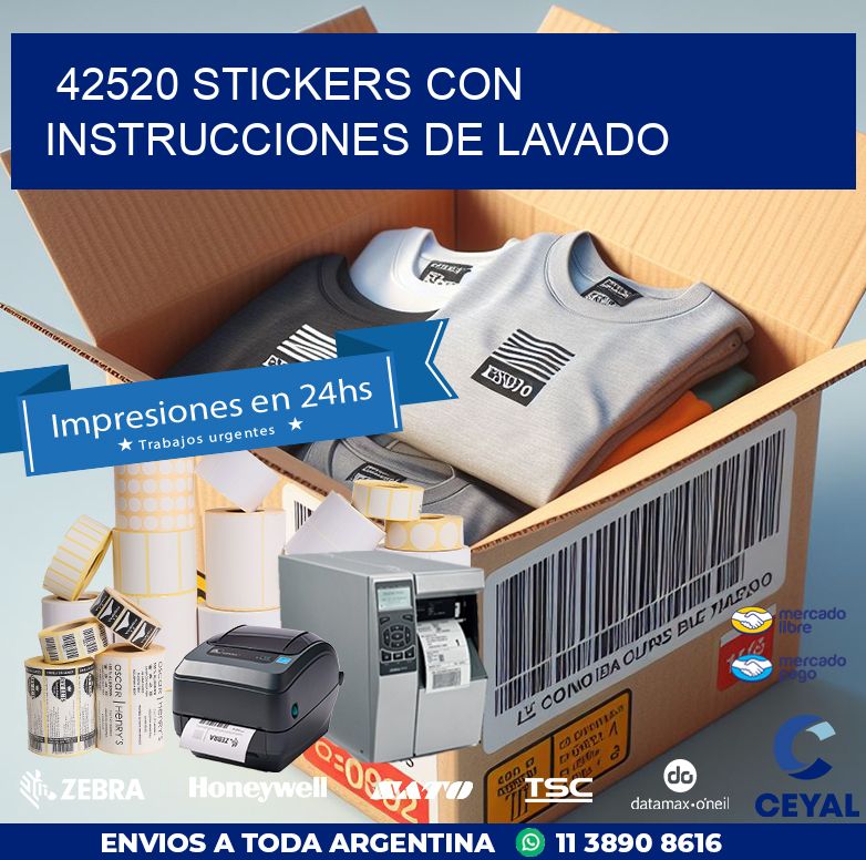 42520 STICKERS CON INSTRUCCIONES DE LAVADO