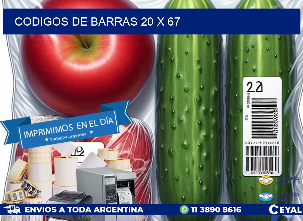 codigos de barras 20 x 67