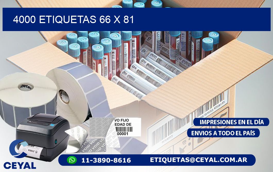 4000 ETIQUETAS 66 x 81