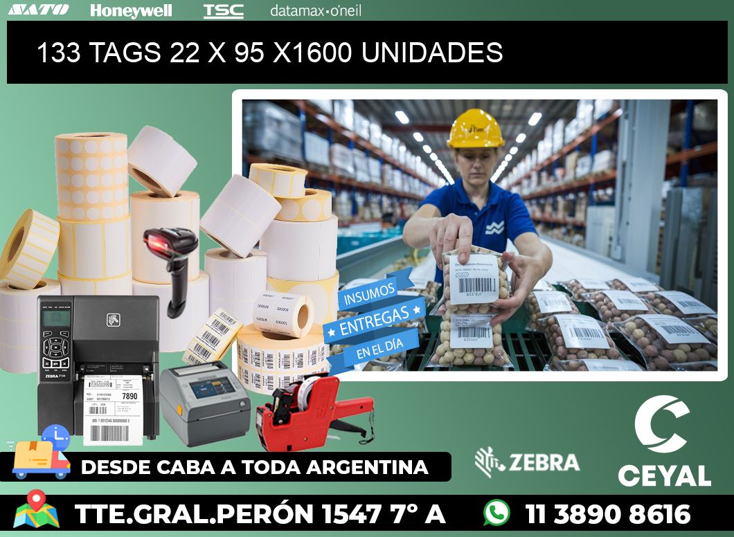 133 TAGS 22 x 95 X1600 UNIDADES