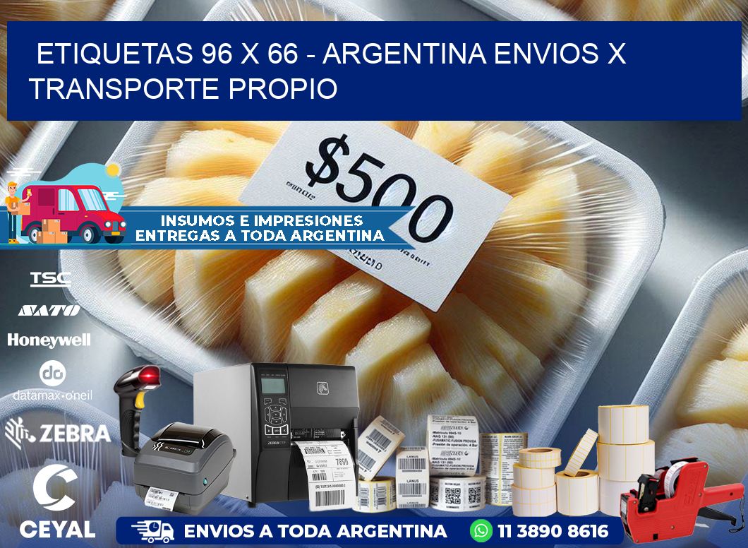 ETIQUETAS 96 x 66 - ARGENTINA ENVIOS X TRANSPORTE PROPIO