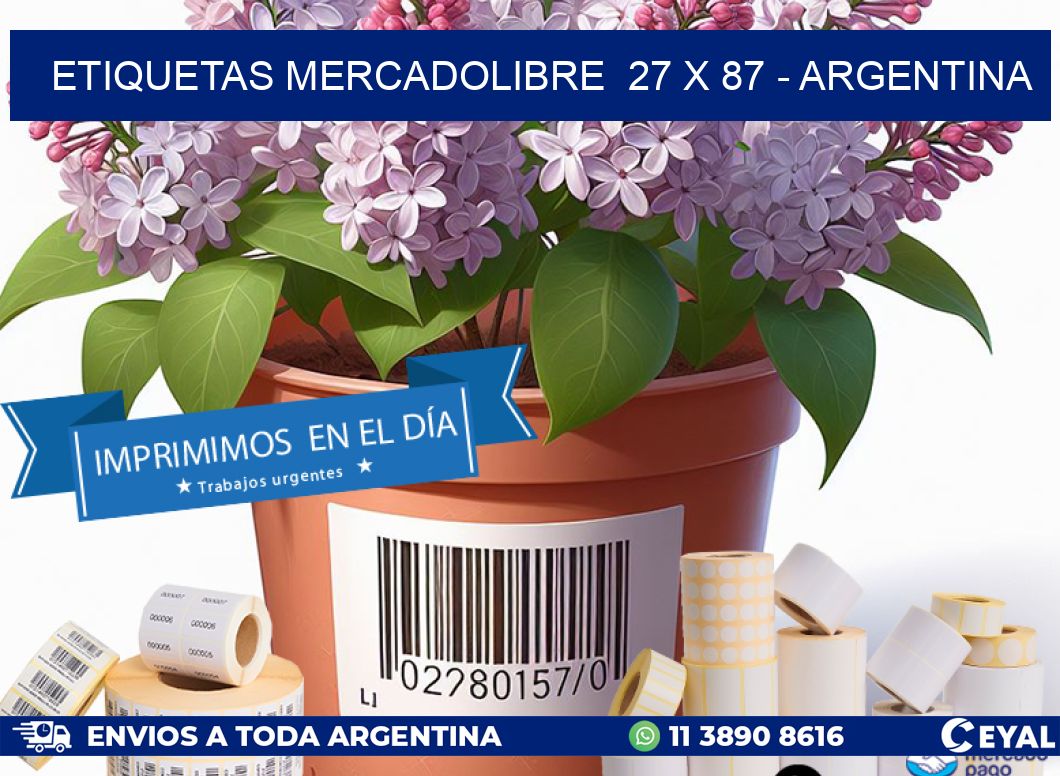 ETIQUETAS MERCADOLIBRE  27 x 87 - ARGENTINA